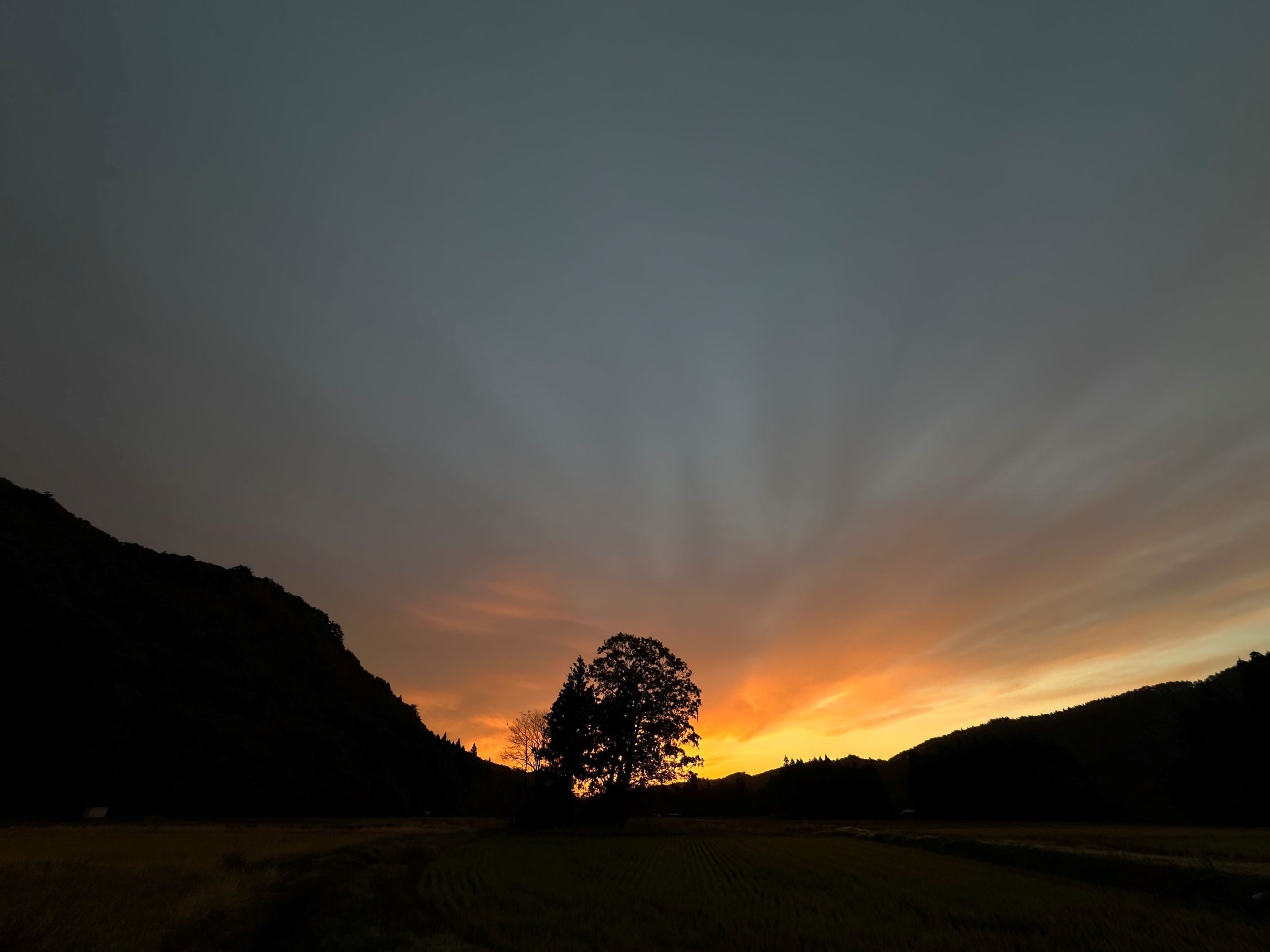 朝焼け（11/12）