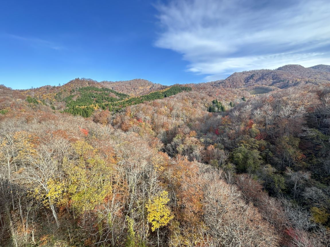 栗駒焼石ホットライン（11/12）